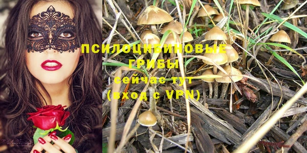 герыч Богданович