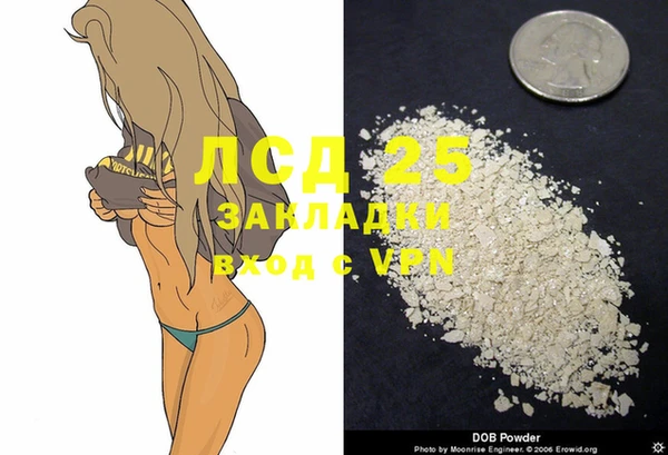 мдма Новозыбков
