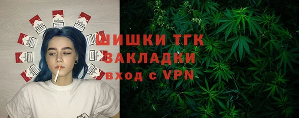 ECSTASY Белокуриха