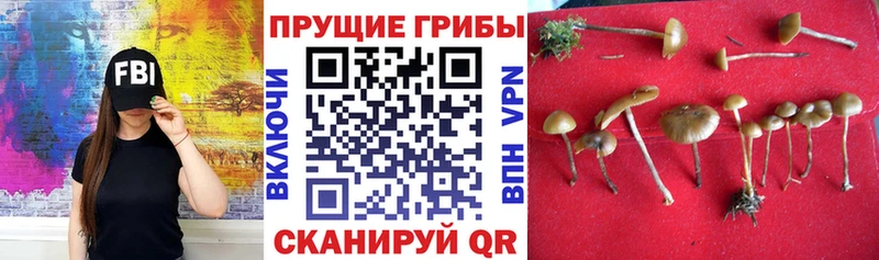 Псилоцибиновые грибы мухоморы  Великий Устюг 