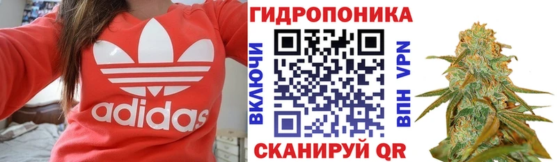 Канабис гибрид  ссылка на мегу ТОР  Великий Устюг  где продают  